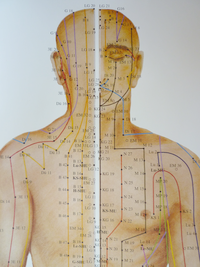 Behandlungsformen der Traditionellen Chinesischen Medizin (TCM) Behandlungsformen der Traditionellen Chinesischen Medizin (TCM)